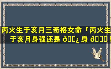 丙火生于亥月三奇格女命「丙火生于亥月身强还是 🌿 身 🐞 弱」